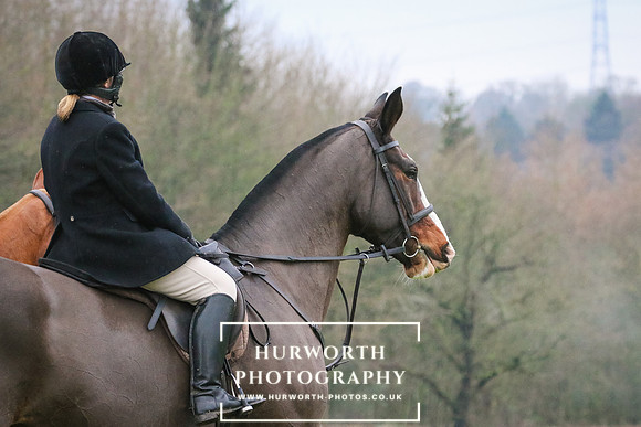 Hurworth Hunt 87