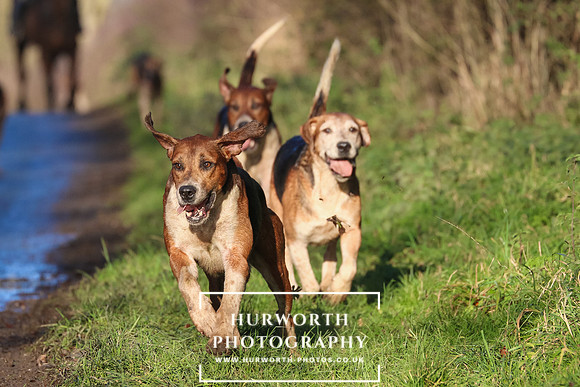 Hurworth Hunt 81