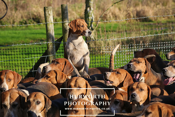 Hurworth Hunt 42