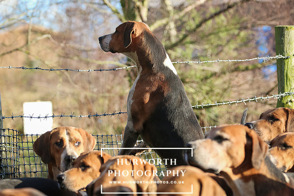 Hurworth Hunt 37