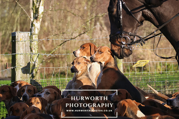 Hurworth Hunt 27