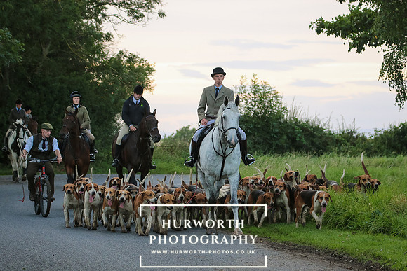 Hurworth Hunt 295