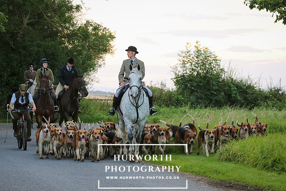 Hurworth Hunt 293