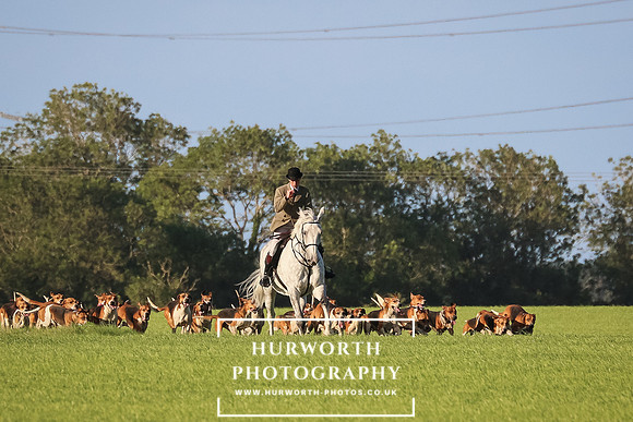 Hurworth Hunt 145