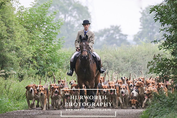 Hurworth Hunt 218