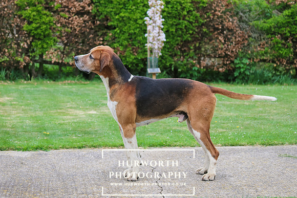 1. Hurworth Tempter
