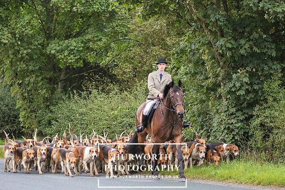 Hurworth Hunt 74