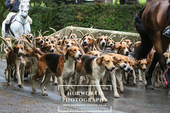 Hurworth Hunt 25