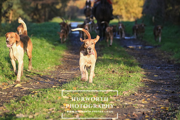 Hurworth Hunt  226