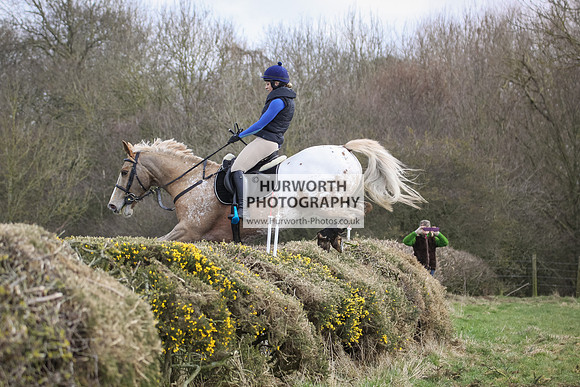 Hurworth Hunt Hedge Hop 086