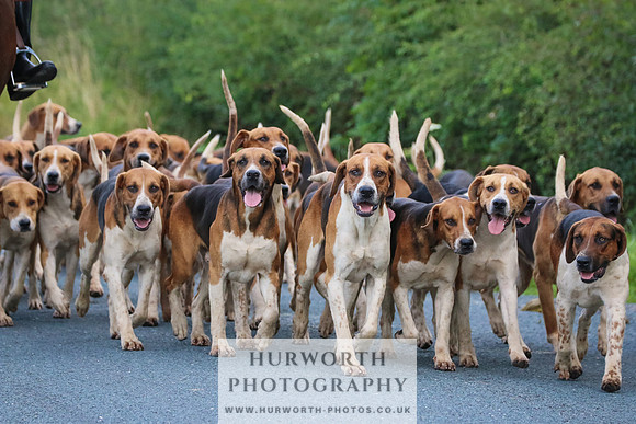 Hurworth Hunt 68