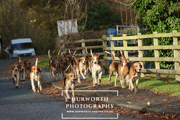 Hurworth Hunt  170