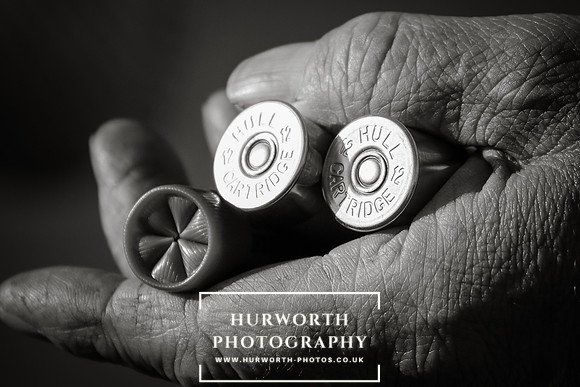 Shoot day photography