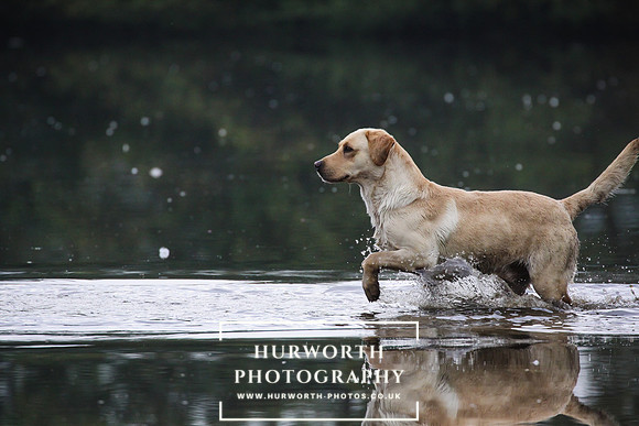 Shoot day photography