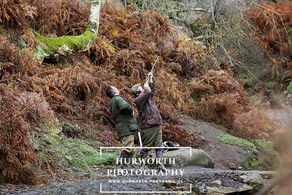 Shoot day photography