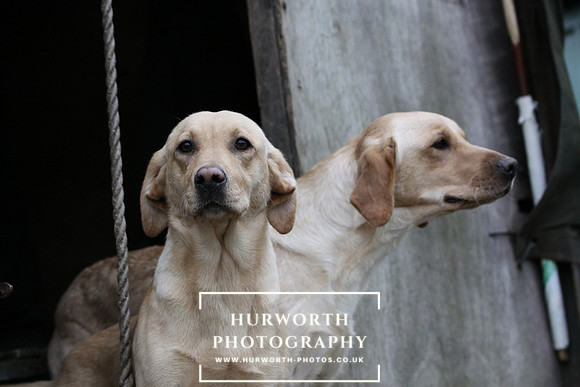 Shoot day photography