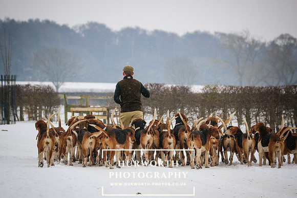 Hurworth Hunt 056