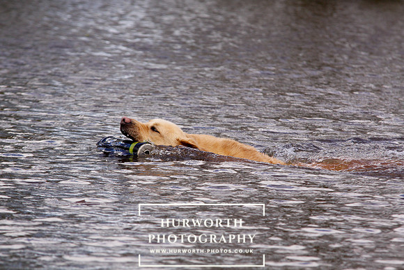 Shoot day photography