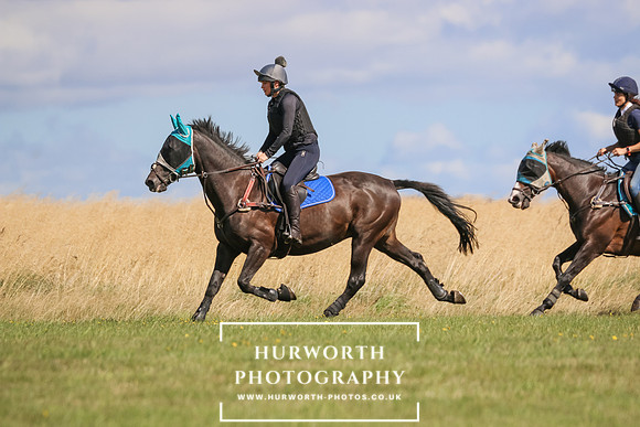 Hurworth Pleasure Ride 417