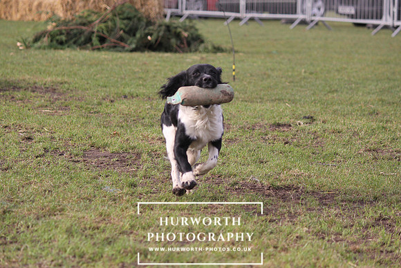 Shooting Show Day 1  027