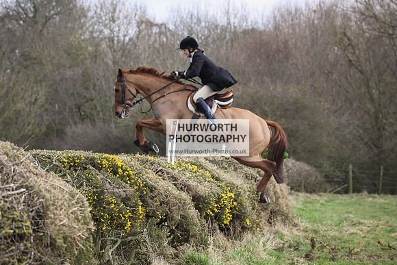 Hurworth Hunt Hedge Hop 079