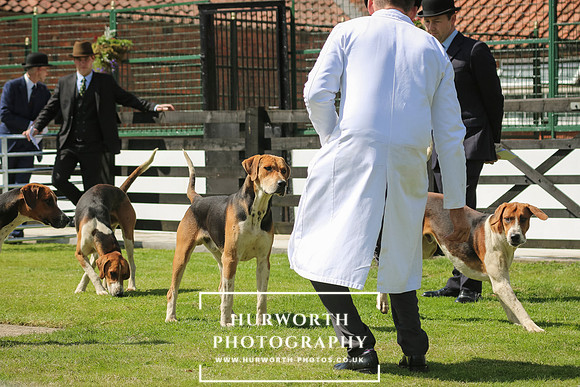 Hurworth Hunt 18