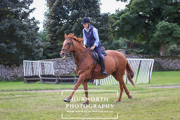 Hurworth Pleasure Ride 244