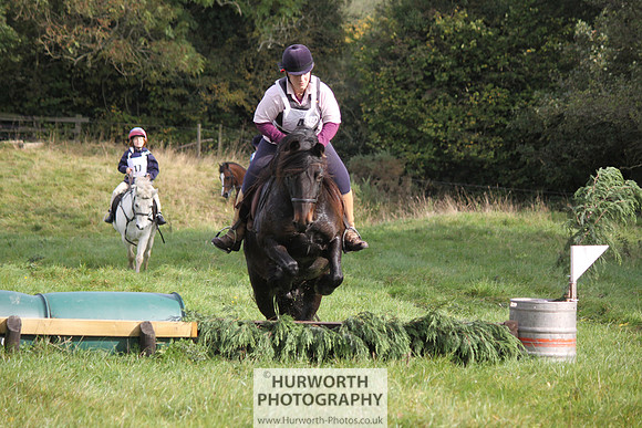 Hurworth Bilsdale Hedge Hop 053