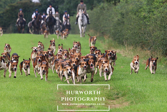 Hurworth Hunt 421