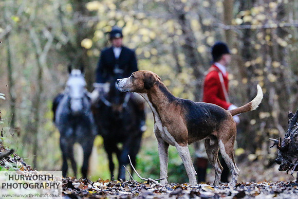 Hurworth Hunt 67
