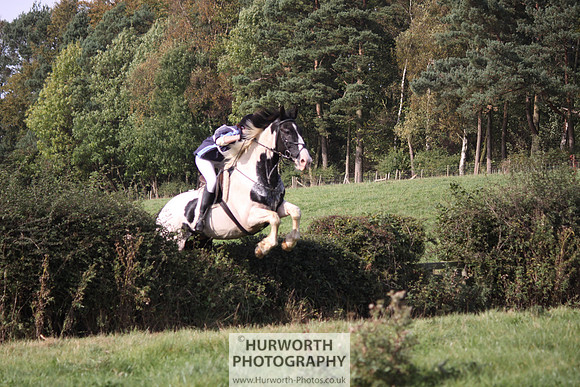 Hurworth Bilsdale Hedge Hop 537
