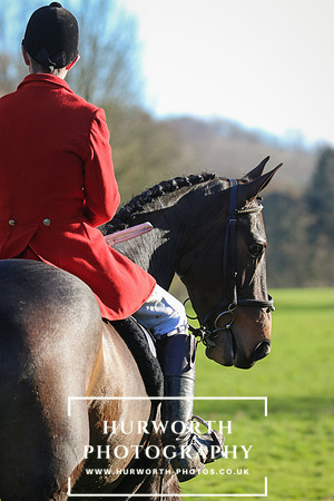 Hurworth Hunt 449