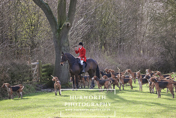 Hurworth Hunt 395