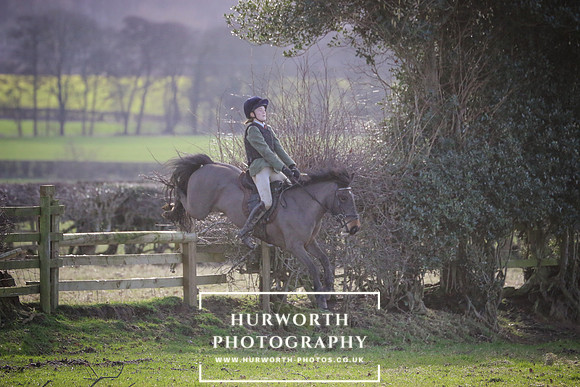 Hurworth Hunt 388