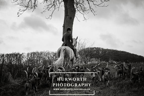 Hurworth Hunt 472