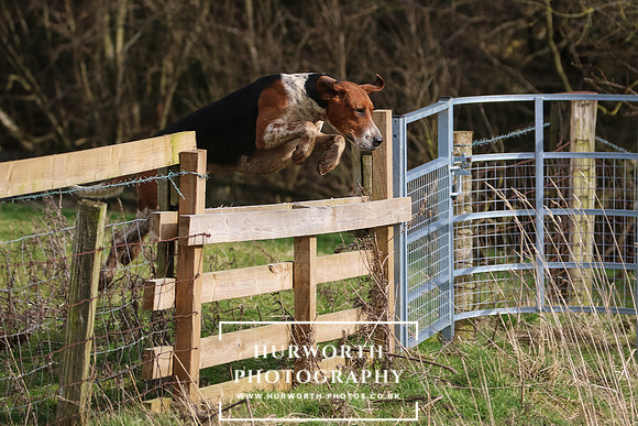 Hurworth Hunt 410