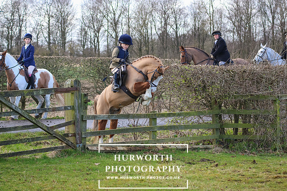 Hurworth Hunt 185