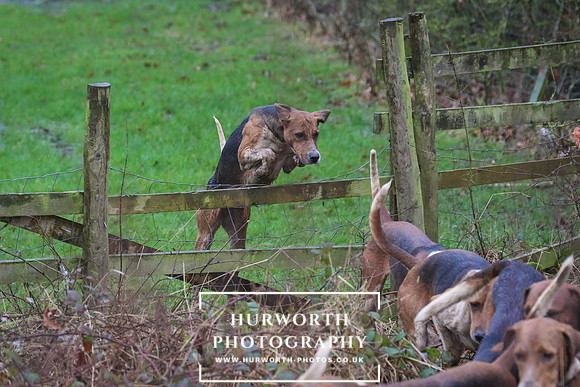 Hurworth Hunt 196