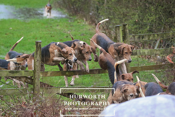 Hurworth Hunt 181