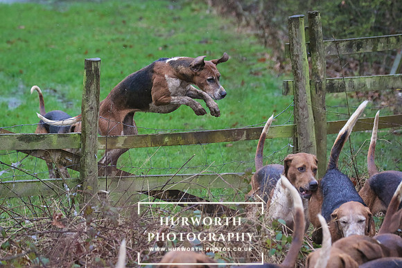 Hurworth Hunt 194