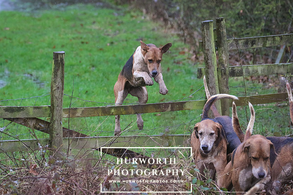 Hurworth Hunt 192