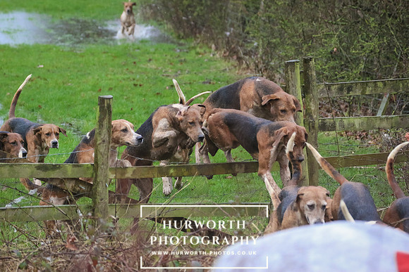 Hurworth Hunt 180