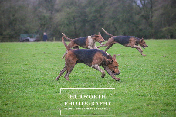 Hurworth Hunt 251