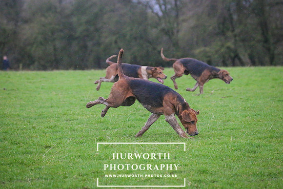 Hurworth Hunt 252