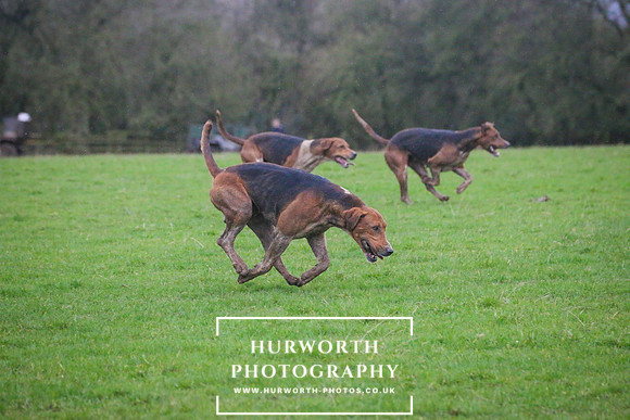 Hurworth Hunt 250