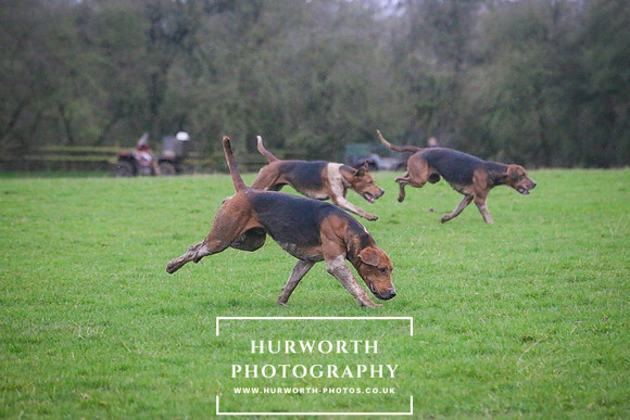 Hurworth Hunt 249