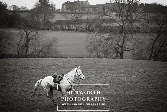 Hurworth Hunt 150