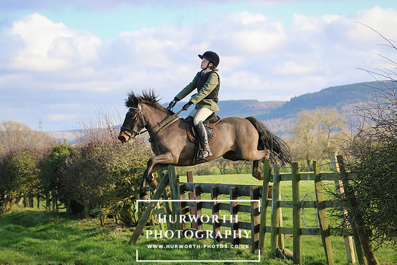 Hurworth Hunt 295