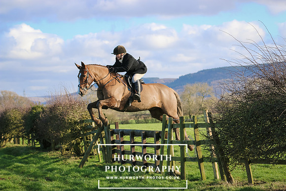 Hurworth Hunt 291