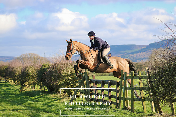 Hurworth Hunt 264